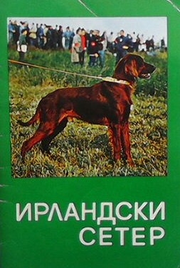 Ирландски сетер