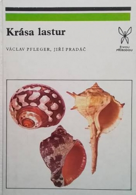 Kràsa lastur