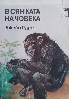 В сянката на човека