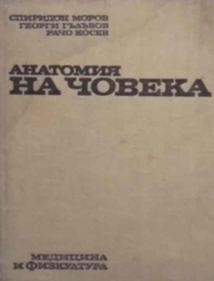 Анатомия на човека