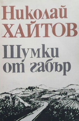 Шумки от габър